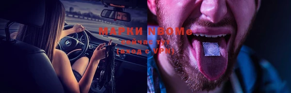 прущая мука Вяземский