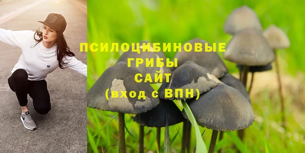 молекула духа Струнино