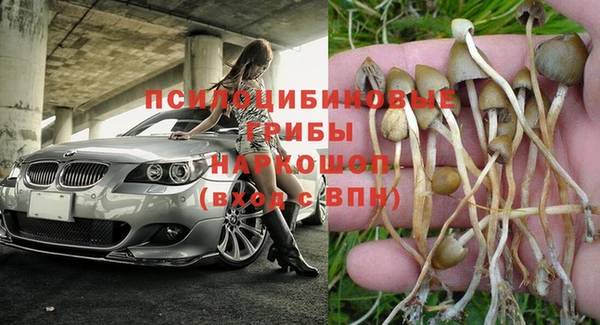 мет Горняк